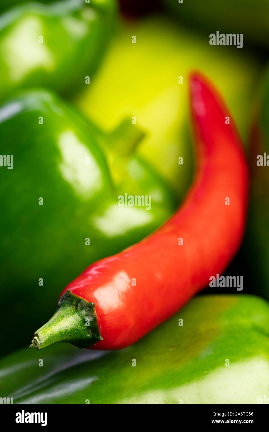 Farbe Kontrast Rot auf Grün: chili zwischen einem Stapel von grünen Paprika Paprika - Rahmen gefüllt, nur der vordere Teil der Chili scharf ist Stockfoto
