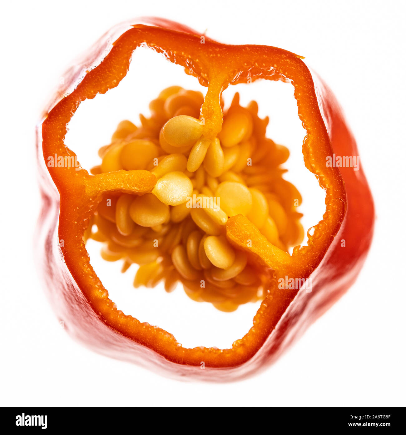Details der Samen einer red hot chili Slice auf weißem Hintergrund - durch Suchen Stockfoto