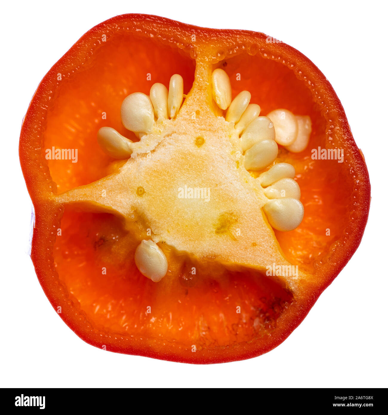 Details der Samen einer red hot chili Slice auf weißem Hintergrund - oberen Teil von Obst Stockfoto