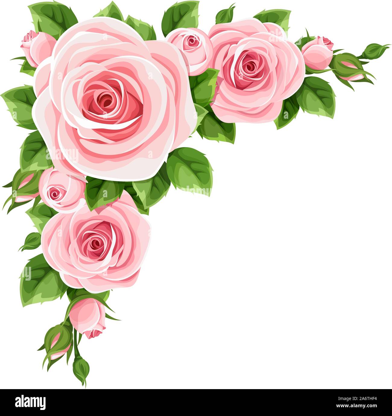 Vektor-Ecke-Hintergrund mit rosa Rosen und grünen Blättern. Stock Vektor