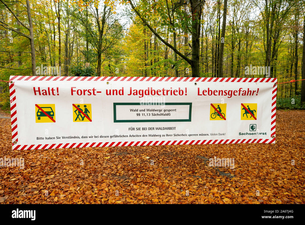 Fischbach, Deutschland. 28 Okt, 2019. Eine Fahne hängt zwischen zwei Bäumen und blockiert die Einfahrt zu einem Wald im Sächsischen Fischbach in der Nähe von Bischofswerda. Auf den Banner können Sie lesen: top! Forstwirtschaft und Jagd Operationen! Lebensgefahr" mit dem Verweis auf die §§ 11, 13 SächsWaldG (Wald Gesetz für den Freistaat Sachsen) und Symbole mit Durchgestrichenen Auto, Fußgänger, Radfahrer und Reiter. Credit: Daniel Schäfer/dpa-Zentralbild/ZB/dpa/Alamy leben Nachrichten Stockfoto