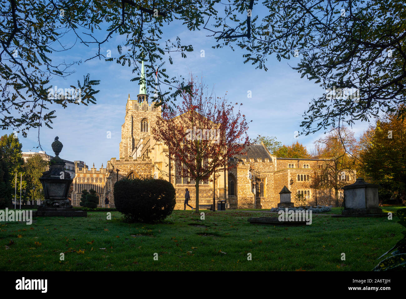 Die Kathedrale von Chelmsford, Essex, Großbritannien auf einem hellen, kalten Herbst morgen mit Frost Tau auf dem Gras. Bäume und Sträucher im Gelände. Kathedrale Kirche Stockfoto