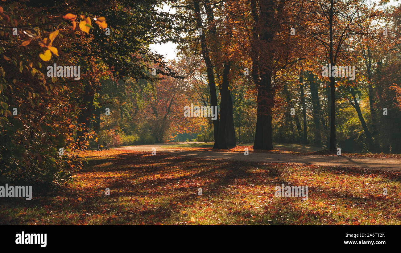 Schönen Herbst Landschaft mit angenehmen warmen Licht. Bild in Bad Muskau Park genommen, Sachsen, Deutschland. UNESCO-Weltkulturerbe. Stockfoto