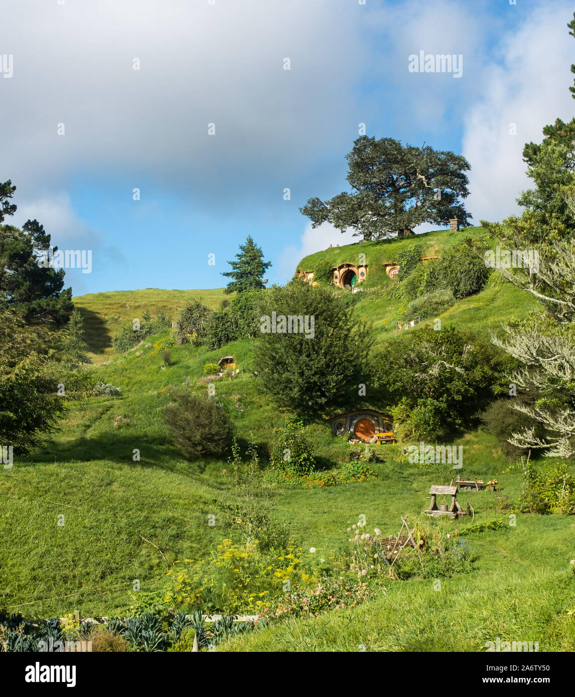 Grünes Gras und sanften Hügeln an der Hobbiton movie Lage. Stockfoto