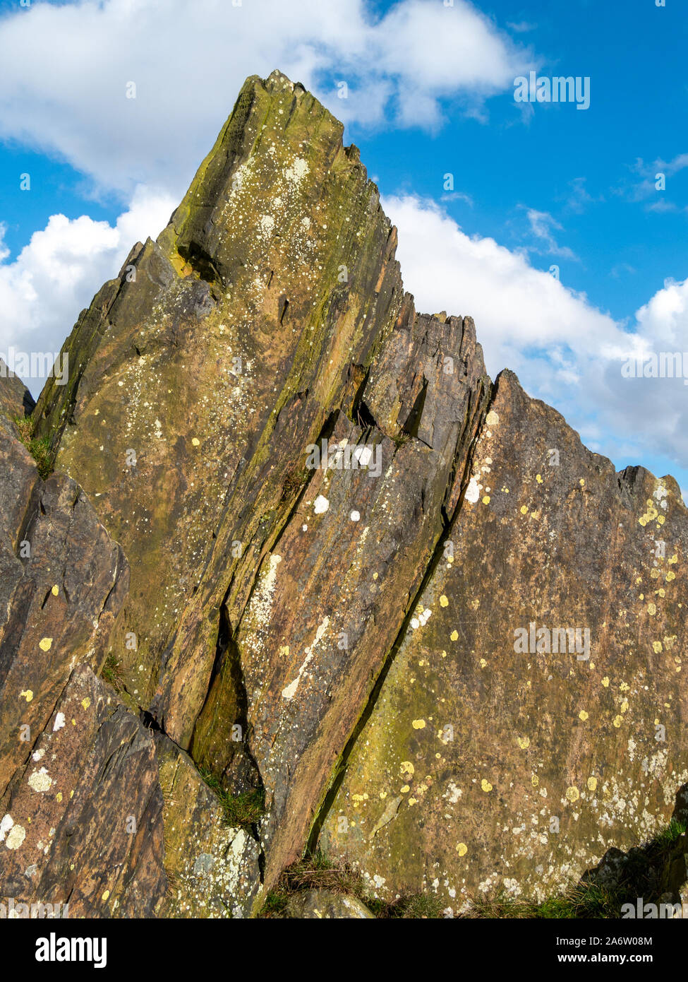 Ausläufer der angeblich ältesten (Präkambrium) rockt in Großbritannien, Bradgate Park Hügel, Leicestershire, England, UK Stockfoto