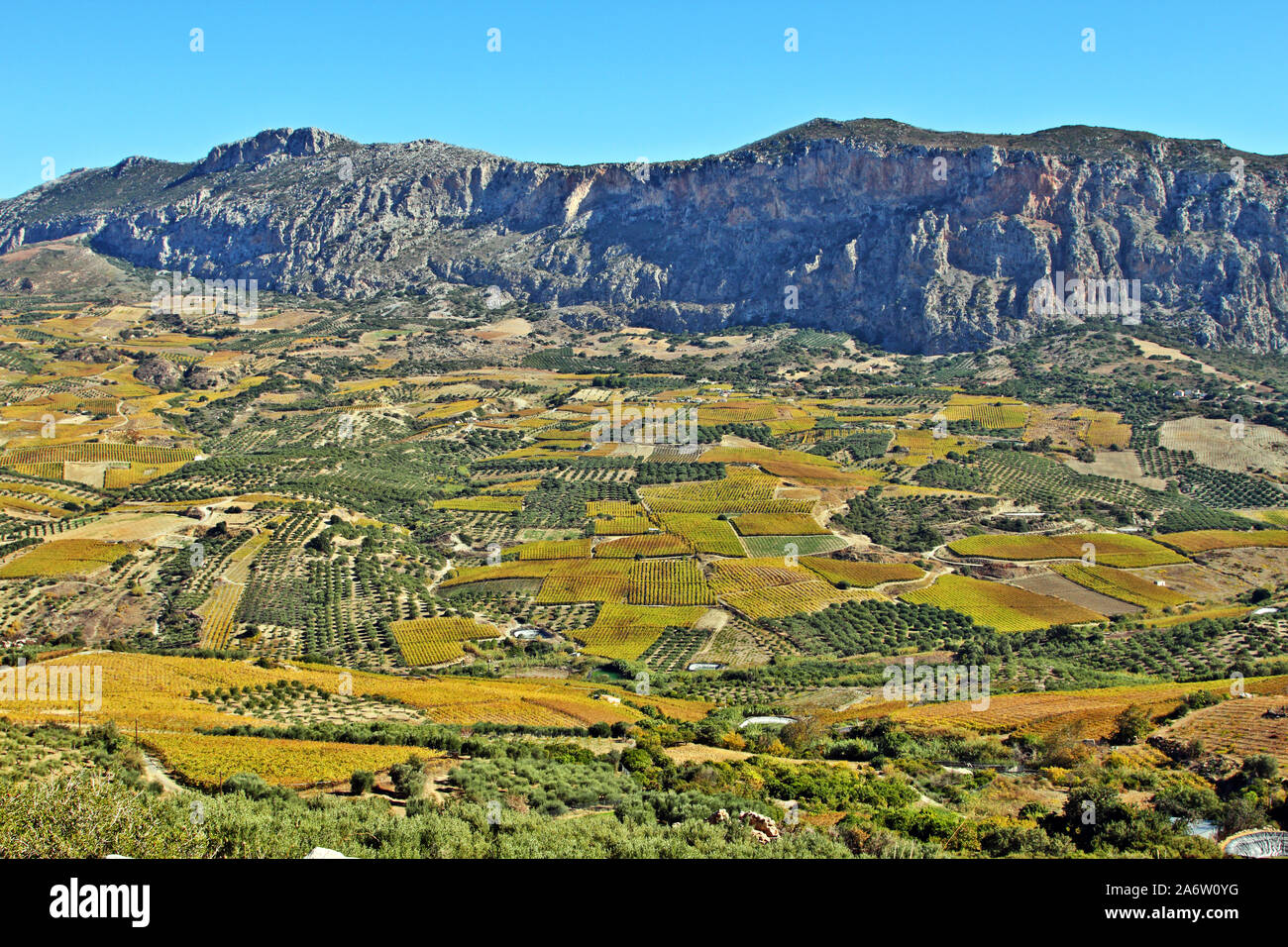 Insel Kreta, Weinberge und Felder über die Täler von Heraklion, Kreta, Griechenland. Stockfoto