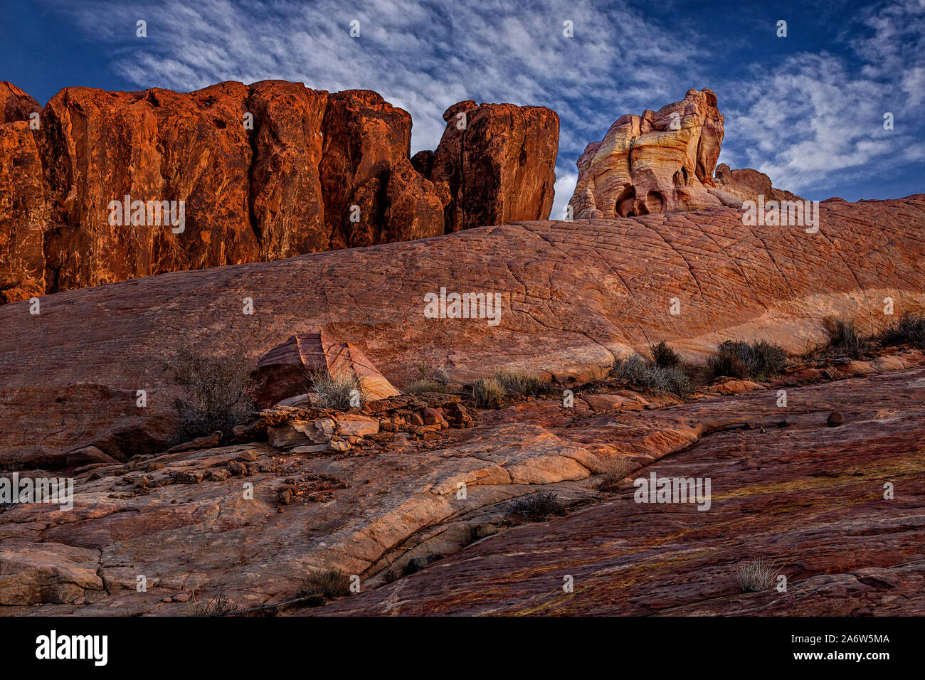 Tal des Feuers Elephant Rock - Eine der vielen roten Felsformationen im Valley of Fire State Park in Nevada. Stockfoto