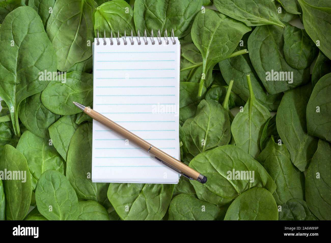 Papier Notizblock und Stift für Rezept oder Shopping Liste auf einem Hintergrund aus frischen organischen Spinatblätter, Kopieren, hohen Winkel der Ansicht von oben aus einer Stockfoto