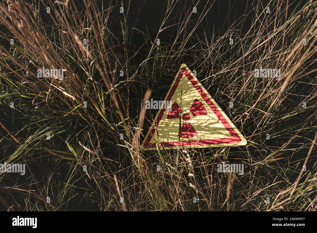 Draufsicht auf das Dreieck mit Warnung giftige Symbol auf Gras, post-apokalyptischen Konzept Stockfoto