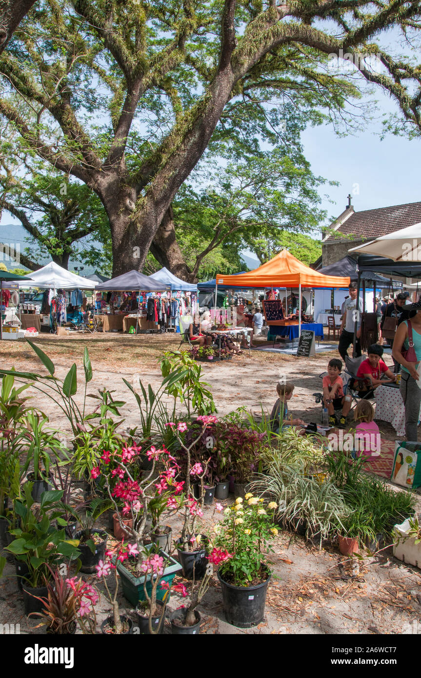 Samstag Vormittag Markt der Gemeinschaft zu Mossman, North Queensland, Australien Stockfoto