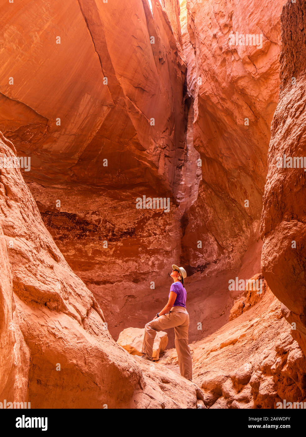 Kühle Höhle Sackgasse Alkoven, Panorama Trail, Kodachrome Basin State Park, Cannonville, Utah. Stockfoto