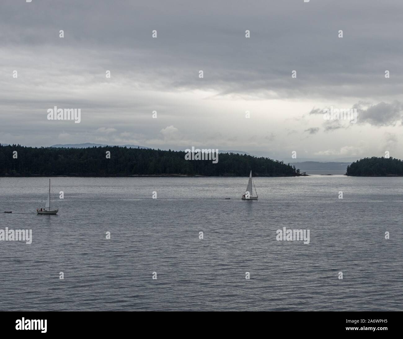 Zwei Segelboote unter Segel in der Nähe von Swartz Bay B, Kanada. Stockfoto