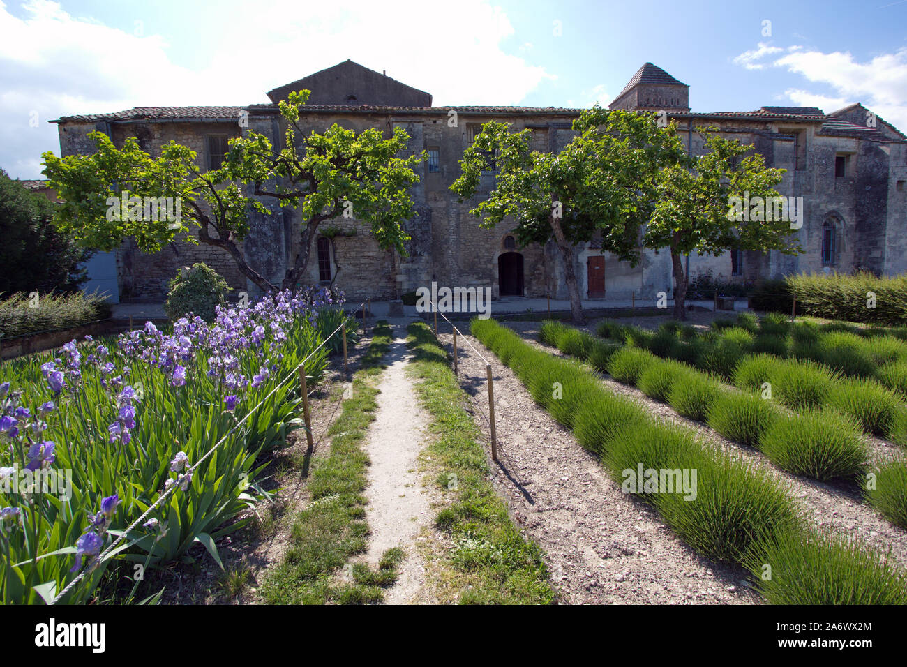 Garten von Saint-Paul-de-Mausole sanitorium an St-Remy-de-Provence, Bouches du Rhône, Frankreich Stockfoto