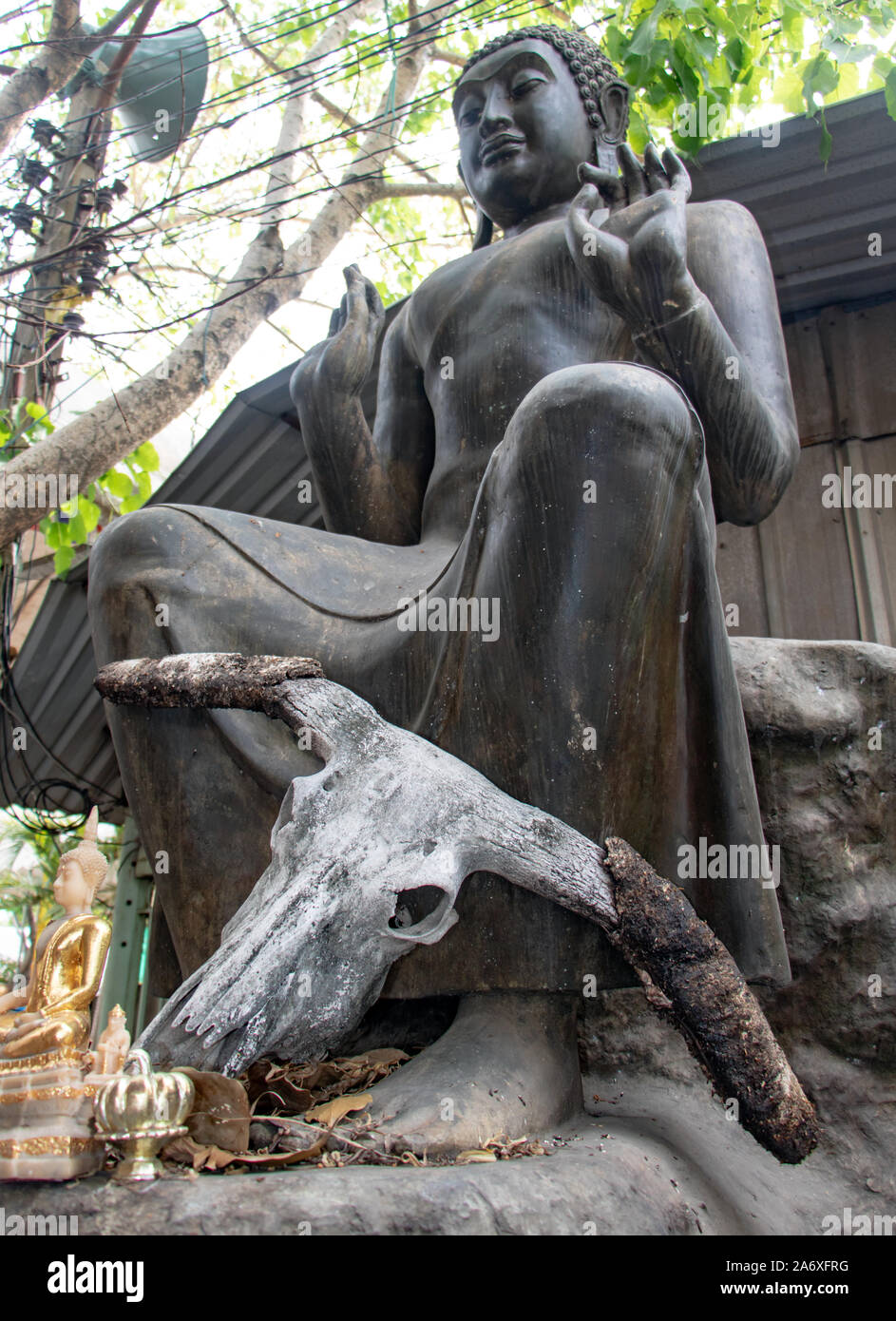 Statue des Sitzenden Buddha mit Buffalo Schädel neben Füße, Samut Prakan, Thailand. Stockfoto