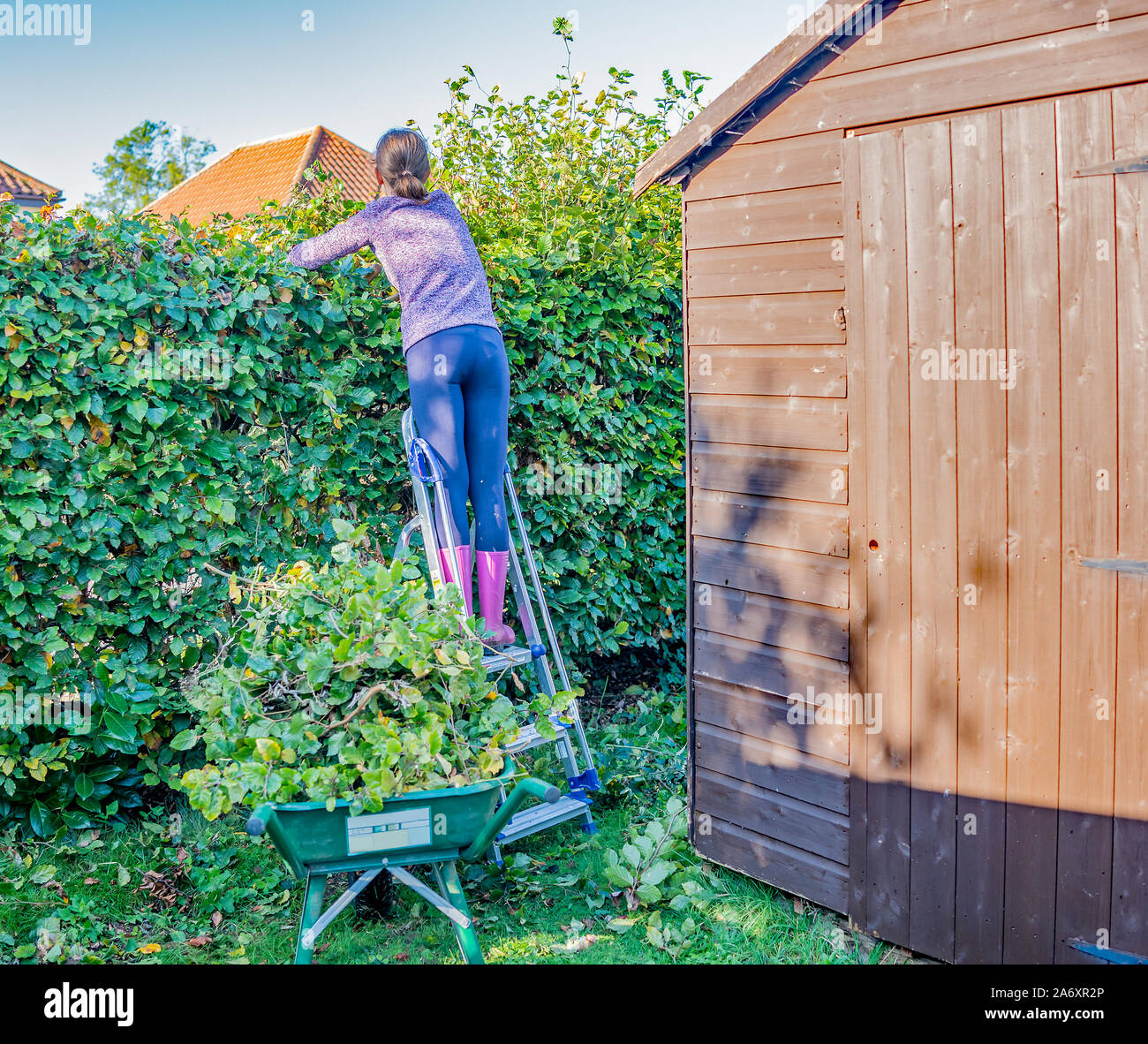 Manuelle schermaschinen Fotos und Bildmaterial in hoher Auflösung Alamy