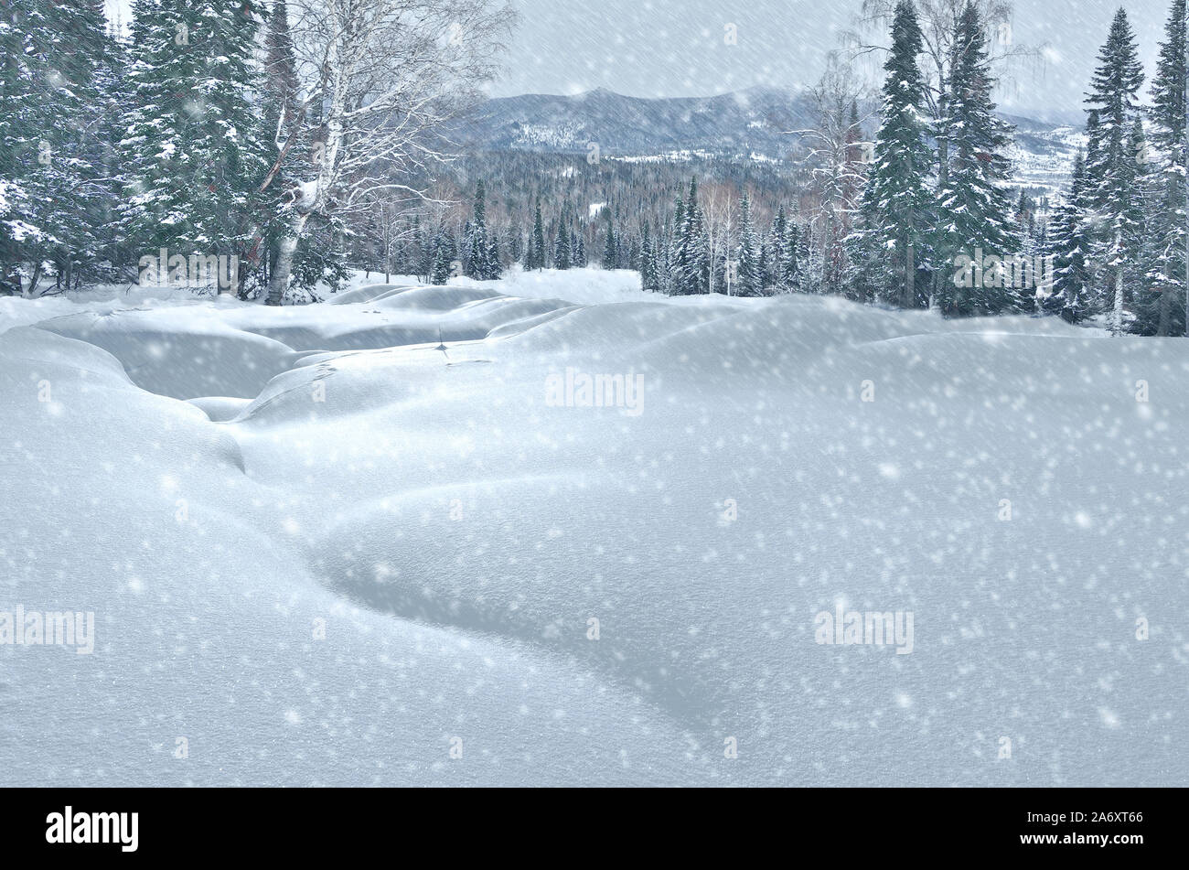 Schneefall in den Bergen Winter Wald mit Schnee bedeckt Fichten, Tannen und Birken. Schneewehen am Hang des Hügels. Winter Landschaft - Snowy backgroun Stockfoto