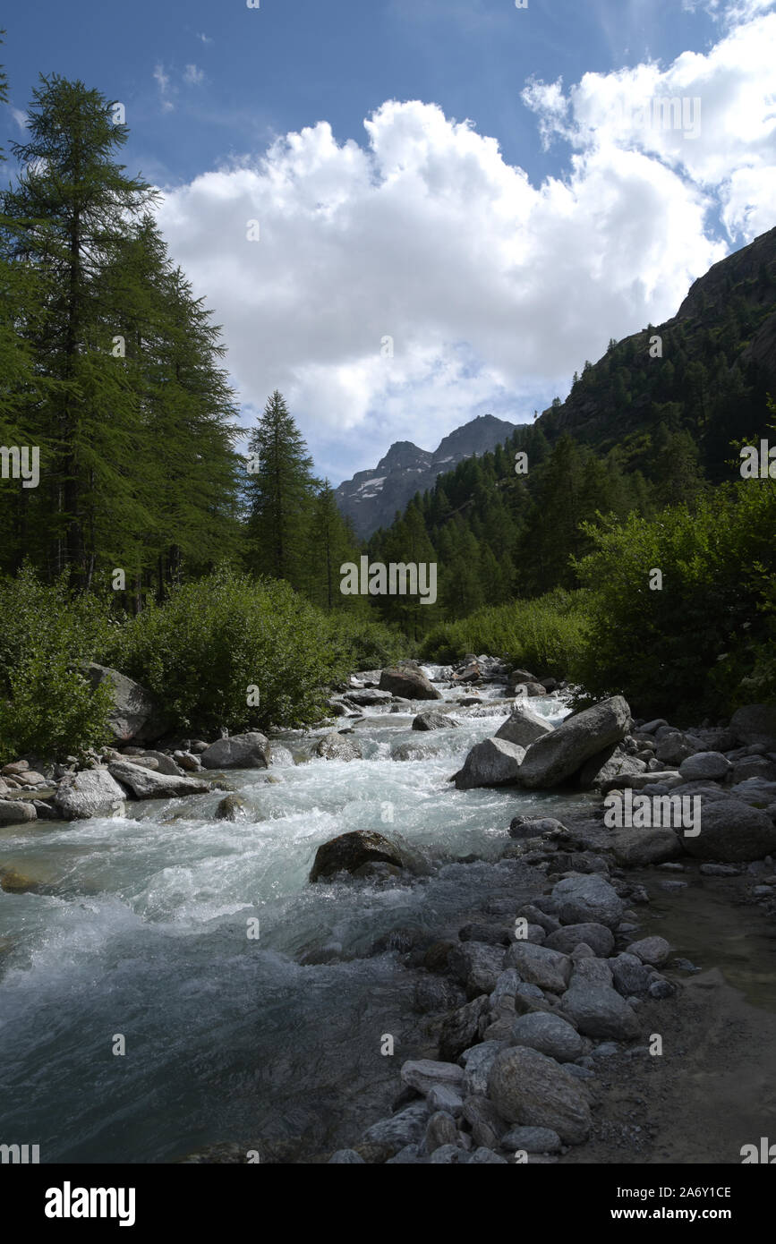 Italia, Valle d'Aosta, Nationalpark Gran Paradiso, Fluss im Val Stockfoto