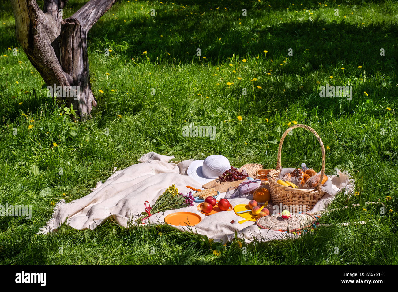 Eine Decke und Essen für ein Picknick im Sommer Park Stockfoto