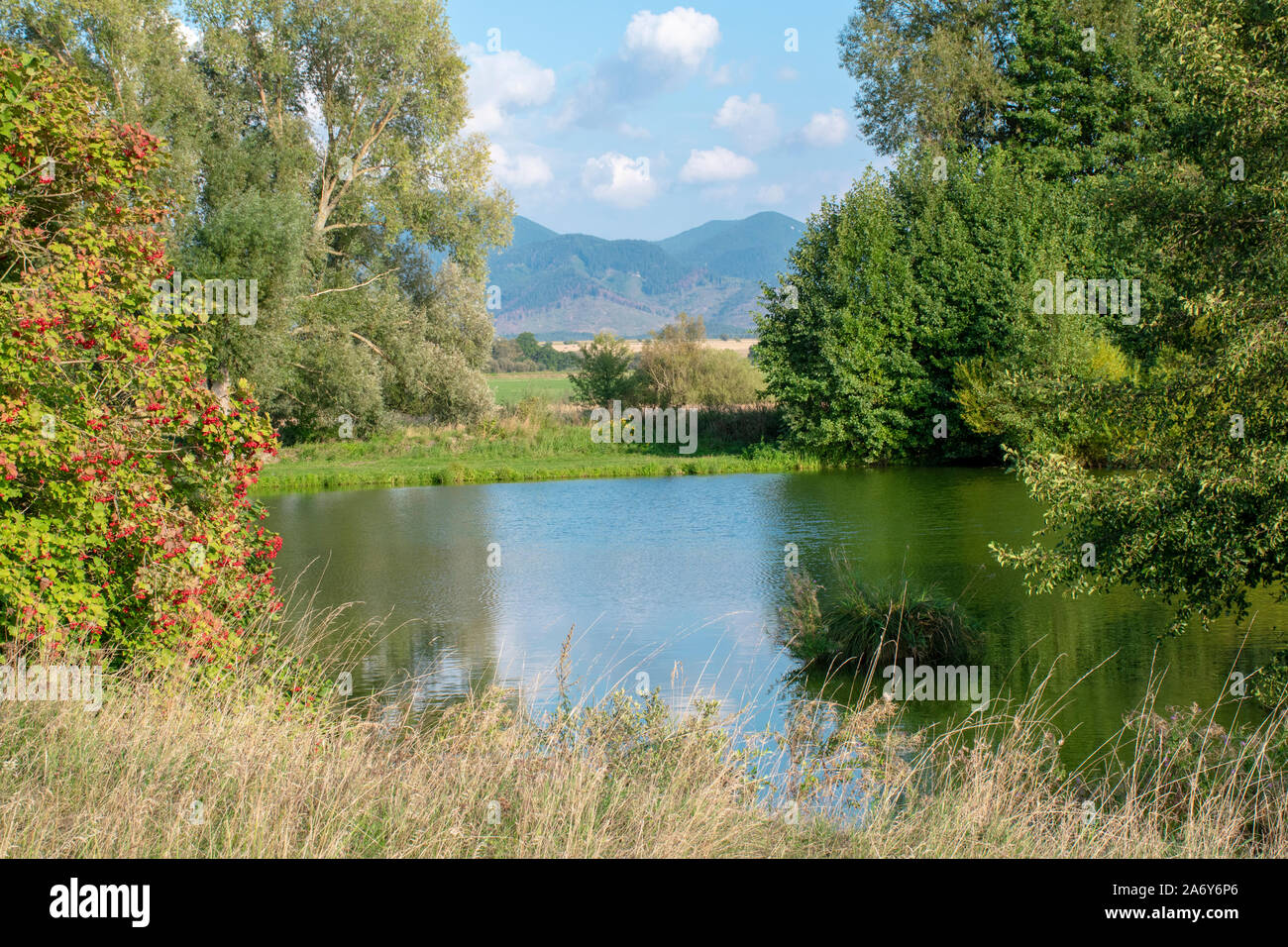 Schöne fische Teich in der Nähe von Diviaky, Turcianske Teplice, Slowakei. Spiegelbild im Wasser. Angeln statt. Sonnigen Tag mit einem Blick auf Velka Fatra Stockfoto