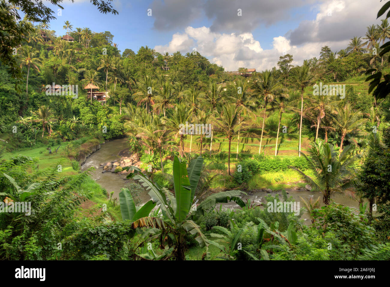 Indonesien, Bali, Ubud, Sayan Valley und Ayung Fluss Stockfoto