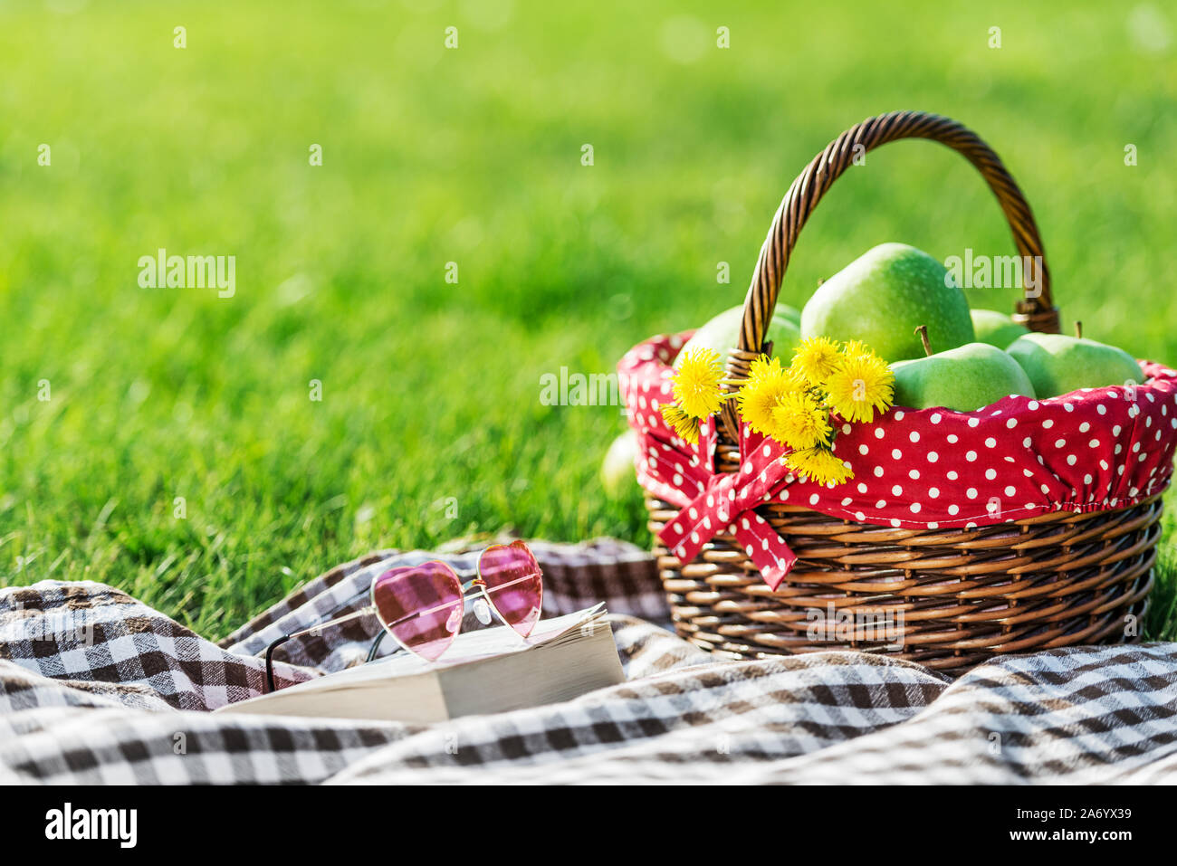 Picknicktisch mit karierten Tischtuch und Picknickkorb abgedeckt Stockfoto