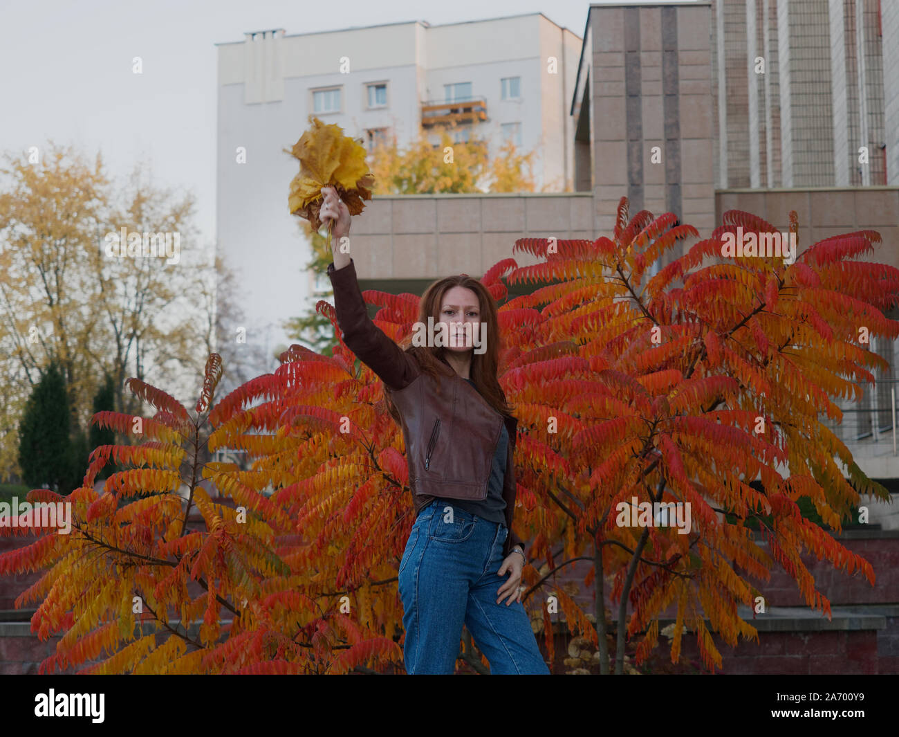 Ein rothaariges Mädchen mit langen Locken springt und wirbelt mit vergilbten Herbst Ahorn Blätter in der Hand. Hinter dem jungen Mädchen, ein helles Orange ac Stockfoto