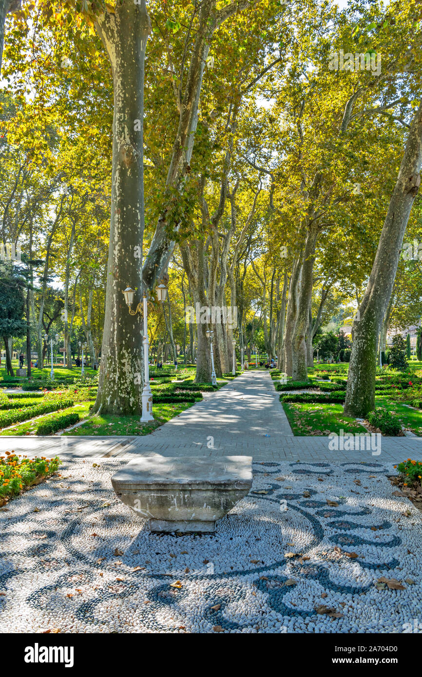 ISTANBUL TÜRKEI GULHANE PARK MIT AVENUE von großen Bäumen im Spätsommer Stockfoto