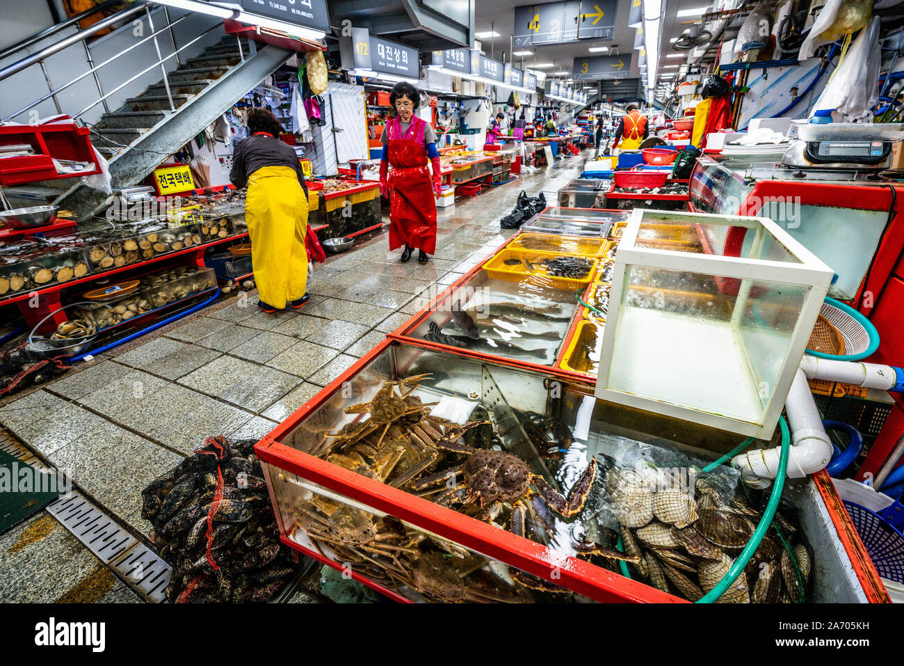 Busan, Korea, 2. Oktober 2019: Jagalchi Fischmarkt Gasse mit Blick auf lebendige Krabben und Fische Fälle, in Busan, Südkorea Stockfoto