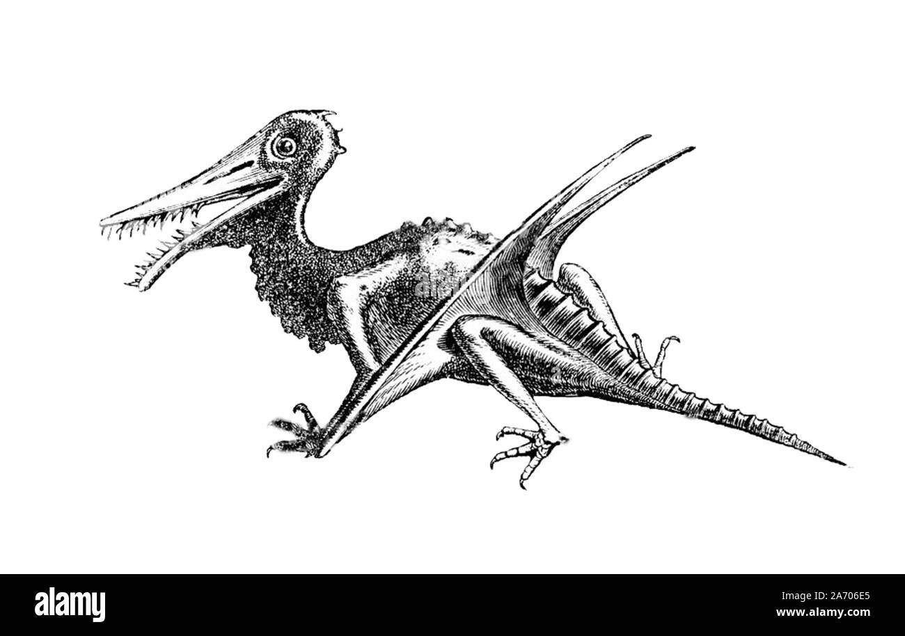 Jahrgang Illustration einer ausgestorbenen Tier Stockfoto