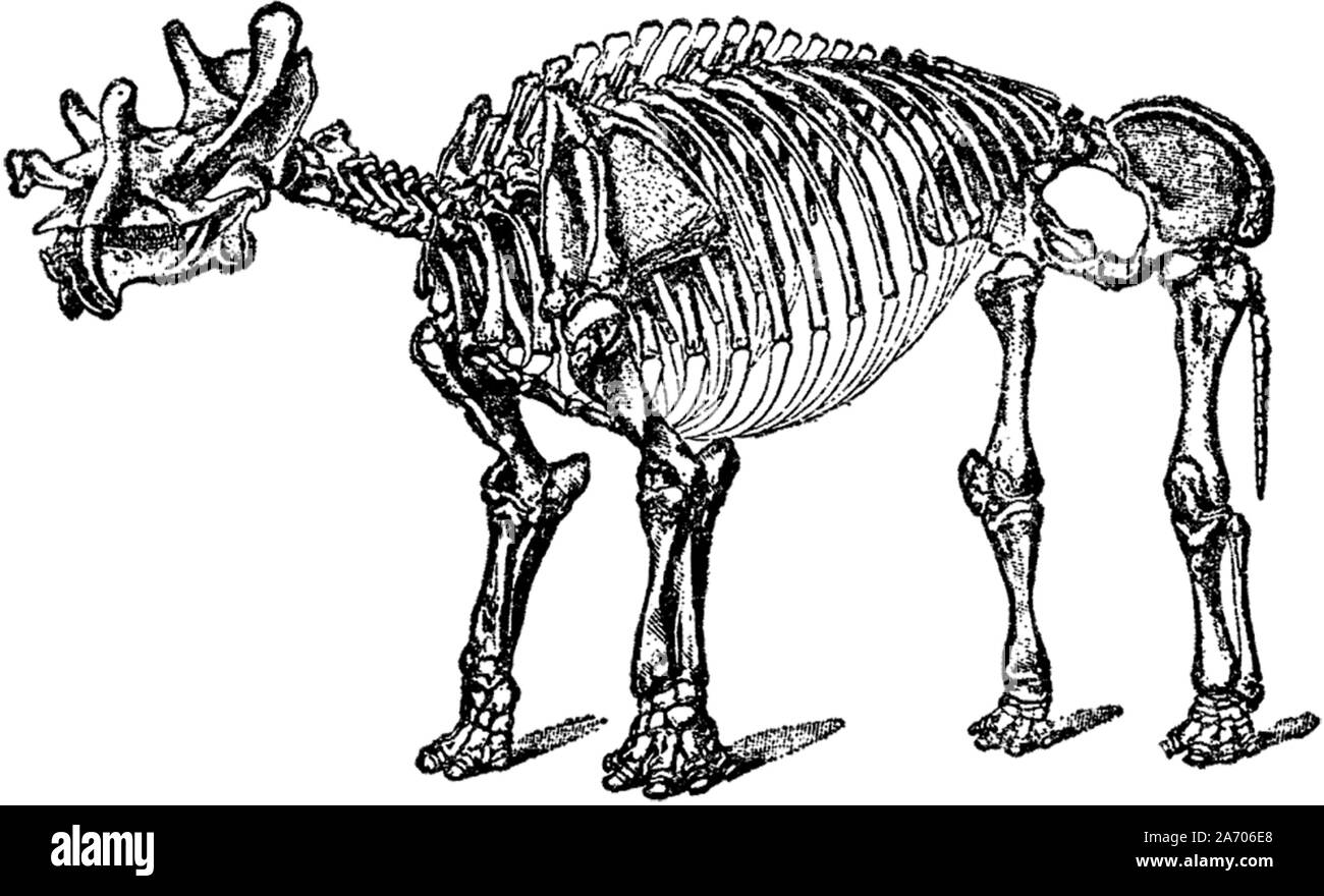 Jahrgang Illustration einer ausgestorbenen Tier Stockfoto