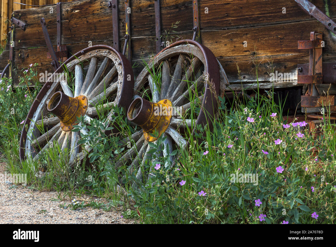 Alten rustikalen hölzernen Wagen Räder in Fairplay, Colorado. Stockfoto