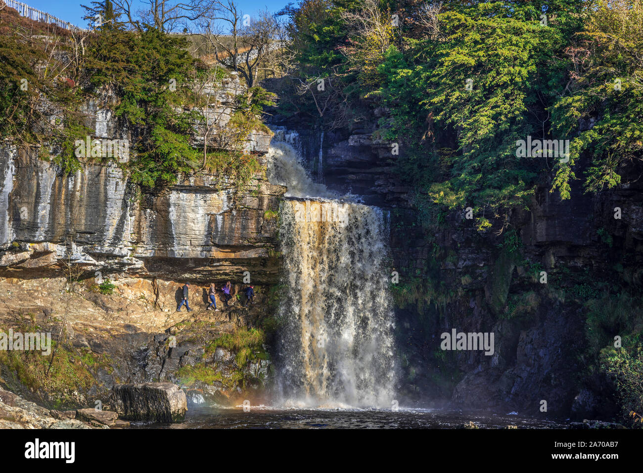 Der Fluss Twiss purzelt die Ingleton Wasserfälle Trail in North Yorkshire. Thornton Kraft. Die ingleton Glens sind Sssi. Stockfoto