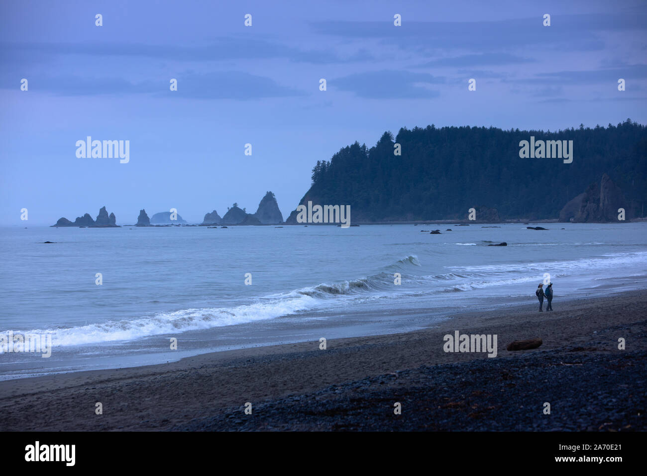 Zwei Menschen, ein paar gehen auf Rialto Beach, Olympic National Park Stockfoto