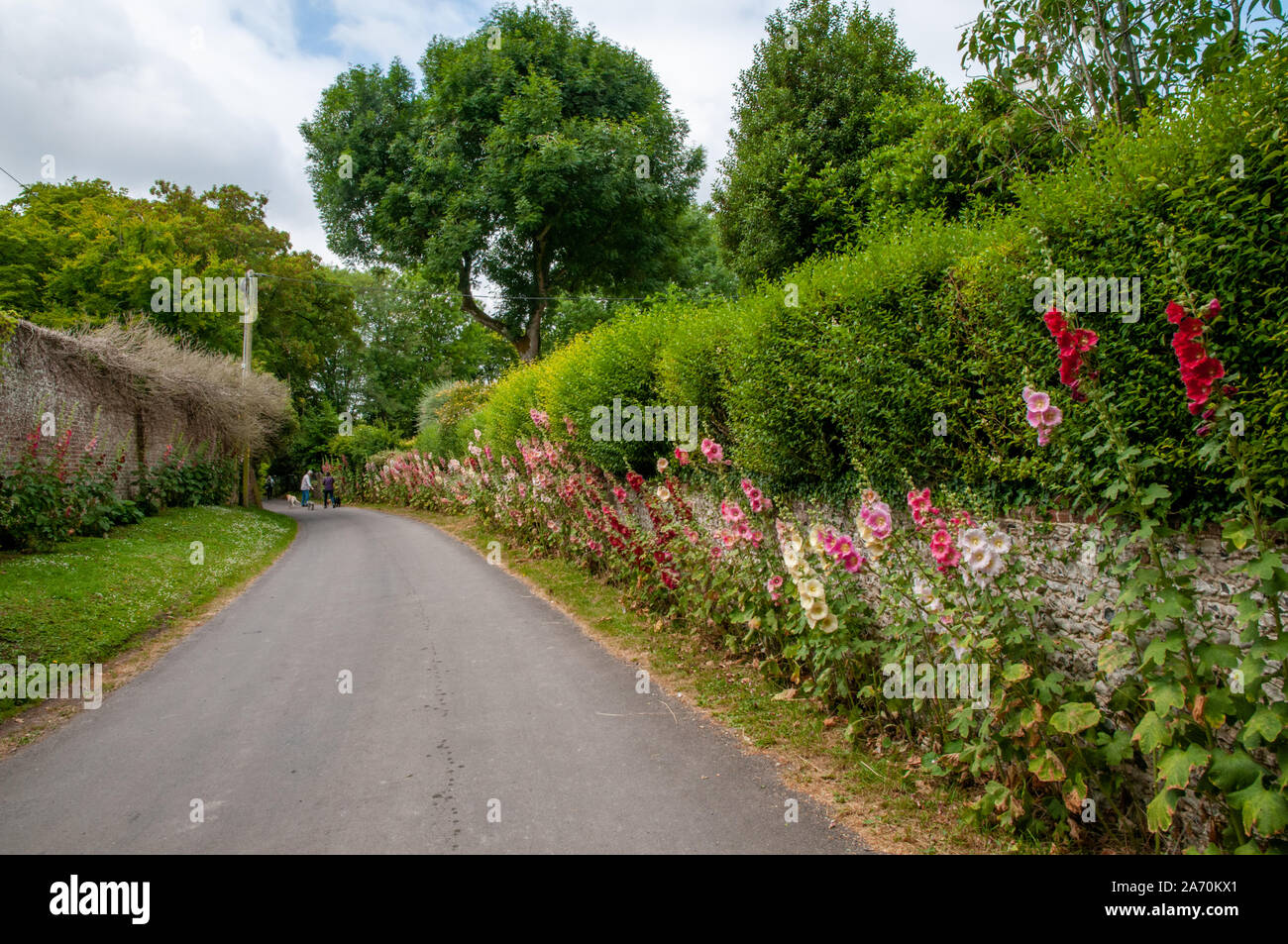 Ein paar wenige mehrere Hunde entlang Church Lane in Exton Dorf in Hampshire, England. Stockfoto