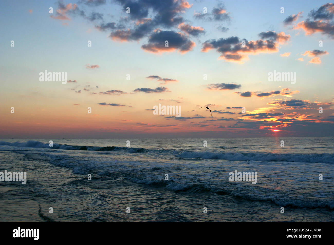 Die Silhouette eines einsamen Pelikan fliegt durch eine farbenprächtige Sonnenuntergang über einem dunklen und ruhelosen See Stockfoto