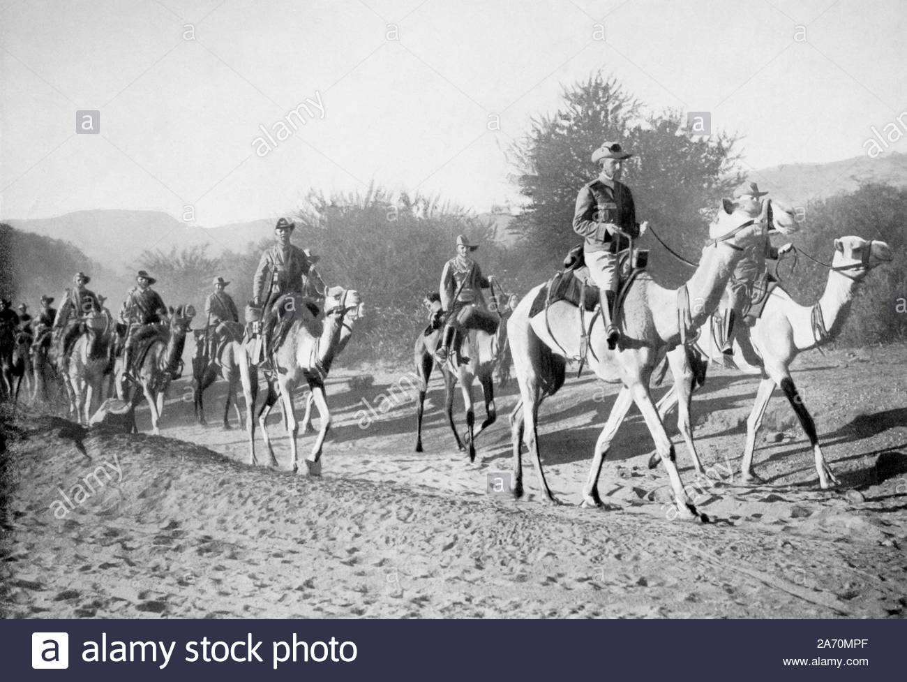 WW1 German Camel Corps in Südwestafrika, vintage Foto von 1914 Stockfoto