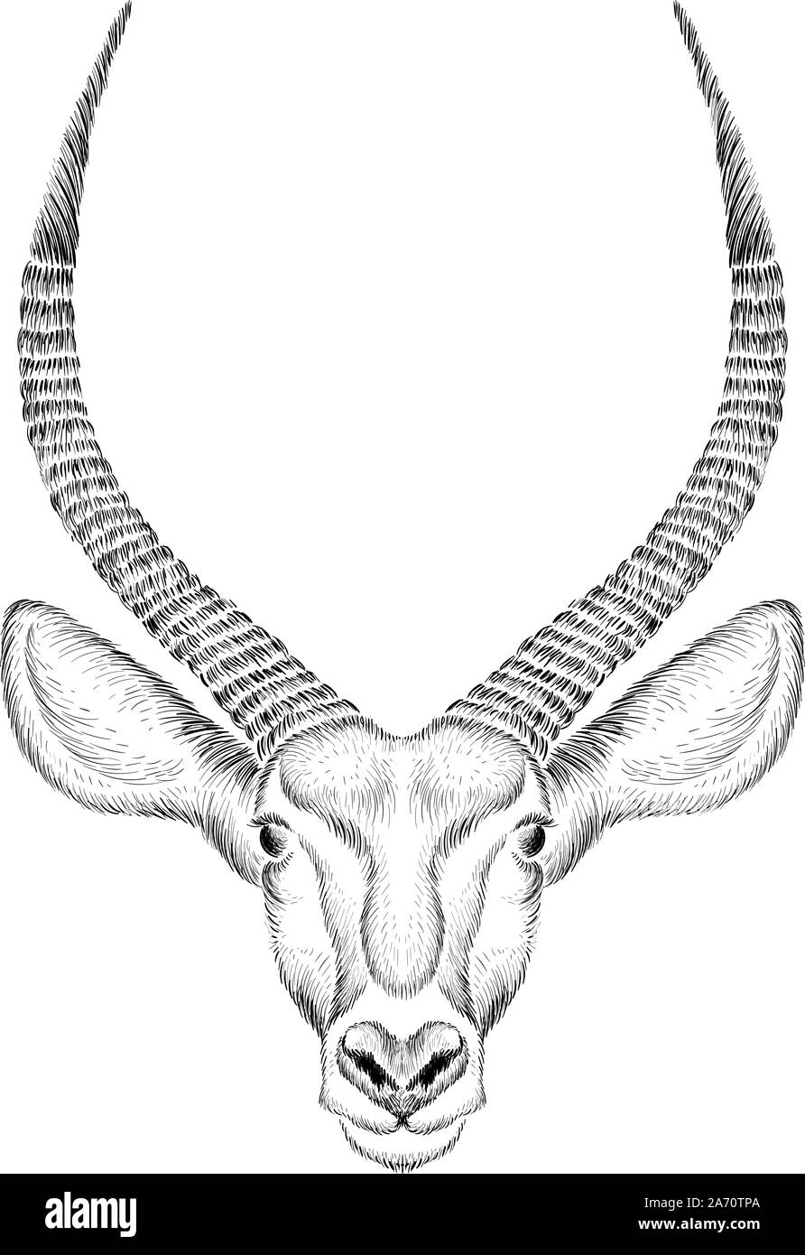 Der Vektor logo Rotwild für eine Tätowierung oder ein T-Shirt oder Oberbekleidung. Cute Druckstil Rotwild Hintergrund. Diese Zeichnung wäre schön, auf dem Weißen fabrikationsnr zu machen Stockfoto