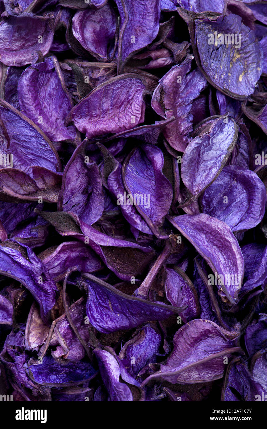 Trockene violett, lila, blau Pflanzen, Blätter, Hülsen Hintergrund Stockfoto