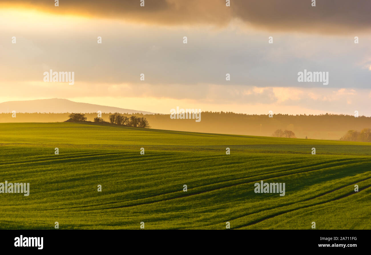 Hazy ländlichen Abend Landschaft mit goldenem Licht und Gruppe von Bäumen in der Ferne. grauen Hügeln im Hintergrund und landwirtschaftlichen Bereich im Vordergrund. Stockfoto