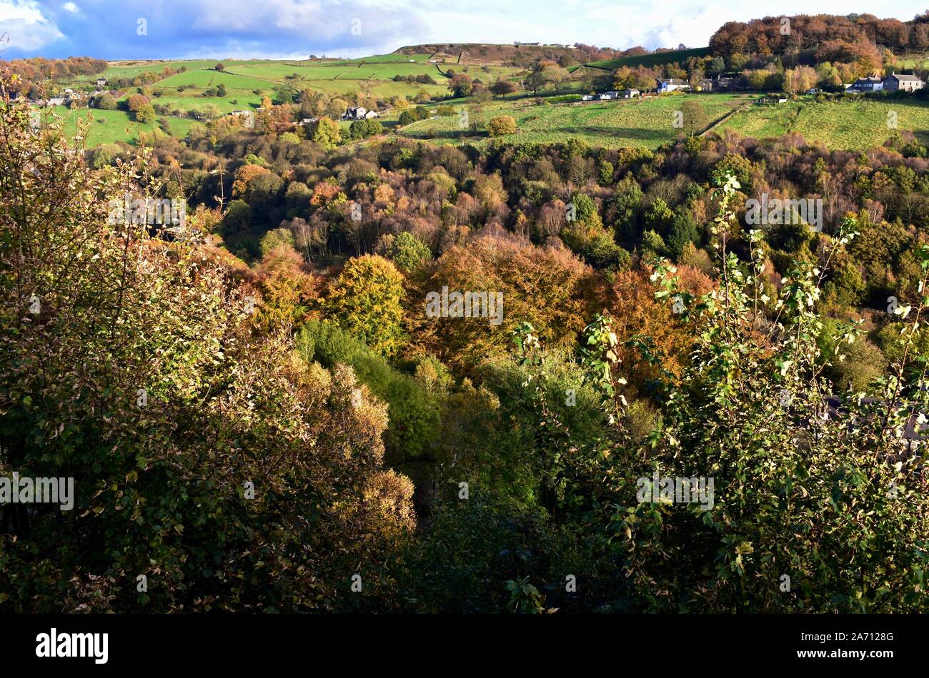 Bäume im Herbst bei Ripponden in der Ryburn Tal, Calderdale. Stockfoto