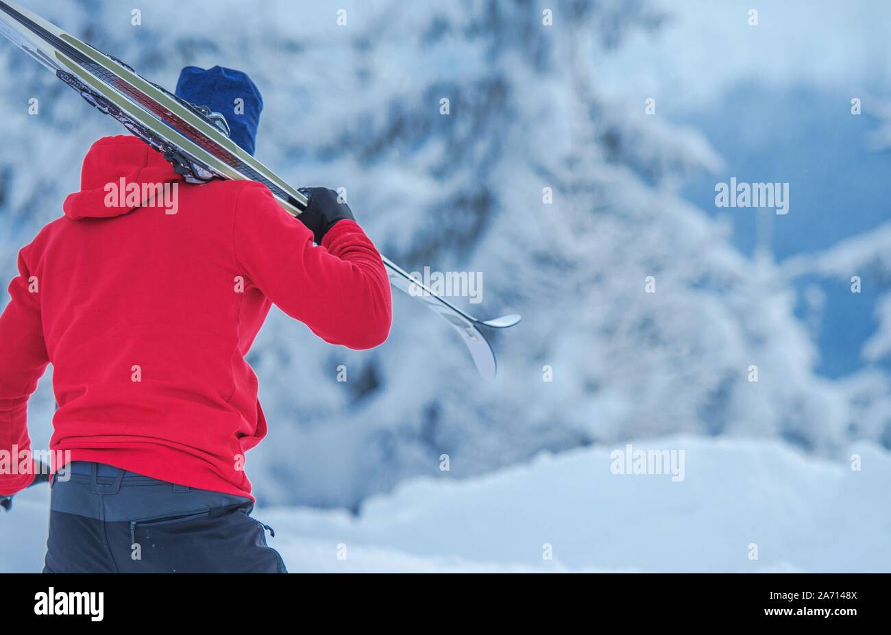 Cross Country Skier gehen, um Ski zu fahren. Wintersport Thema. Stockfoto
