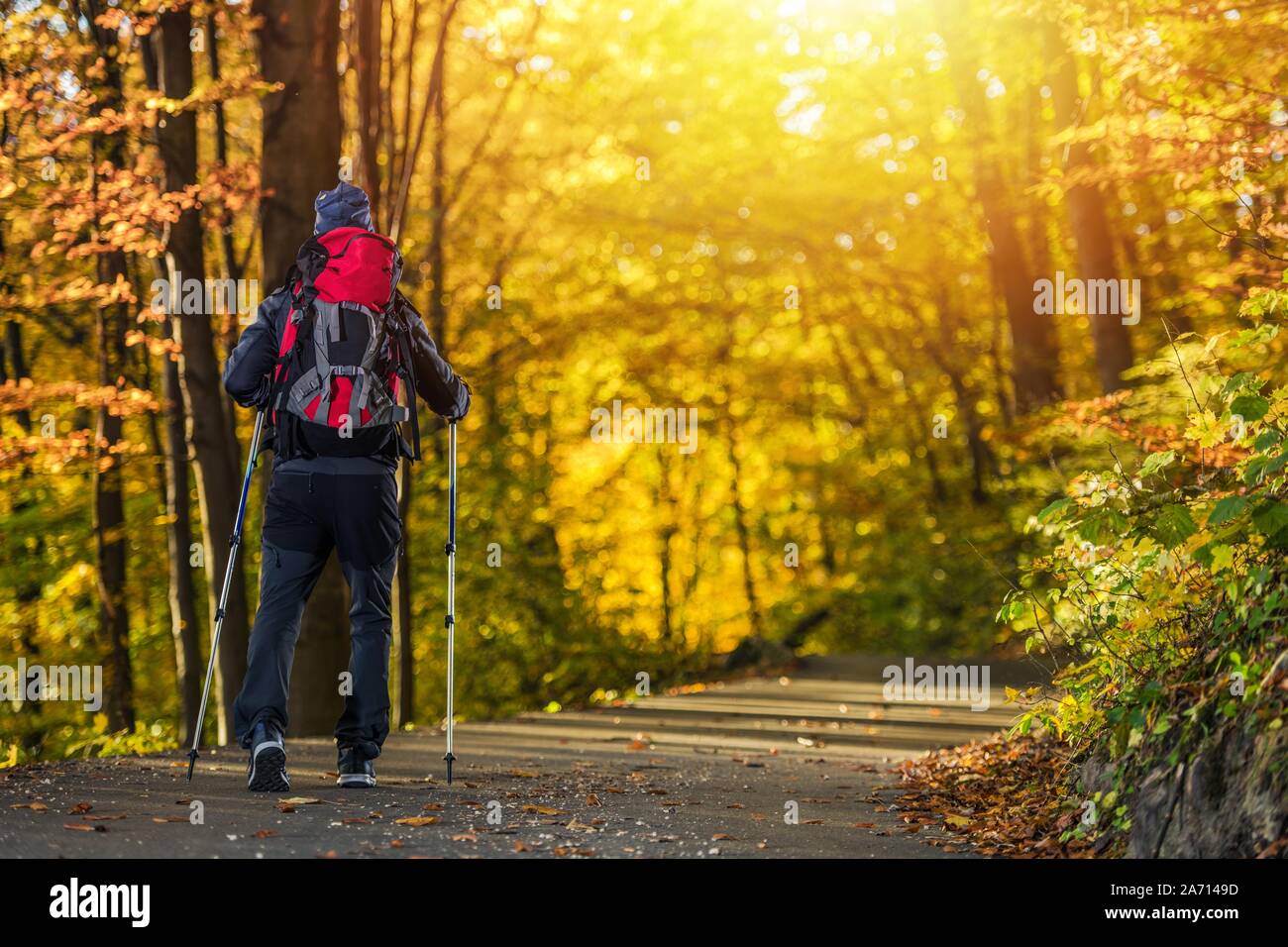 Herbst Wald wandern. Erholung im Freien. Kaukasische Männer mit Rucksack und Wanderstöcken. Stockfoto