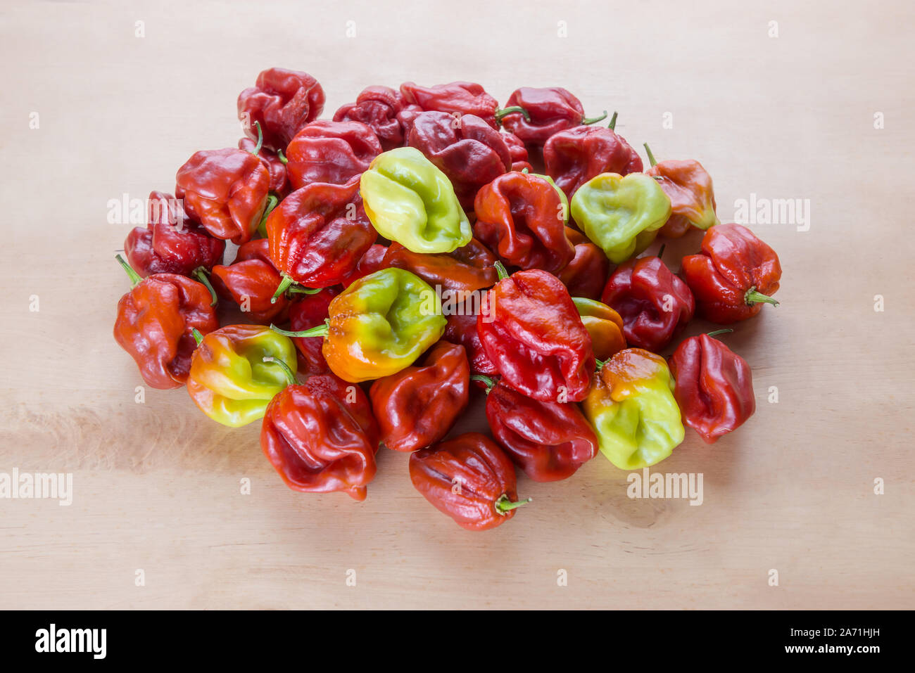Red Hot Chili Scotch Bonnet Karibik Antillais auf hölzernen Hintergrund bunte Stockfoto