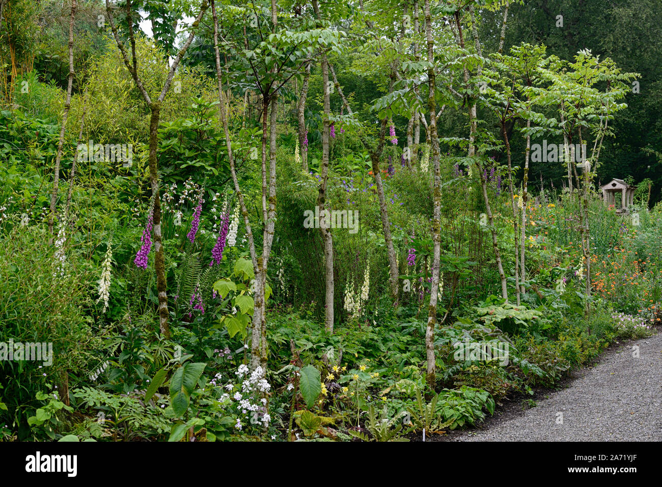 Jagd Bach Gärten, Wicklow, Irland, Jimi Blake, Plantsman, Garten