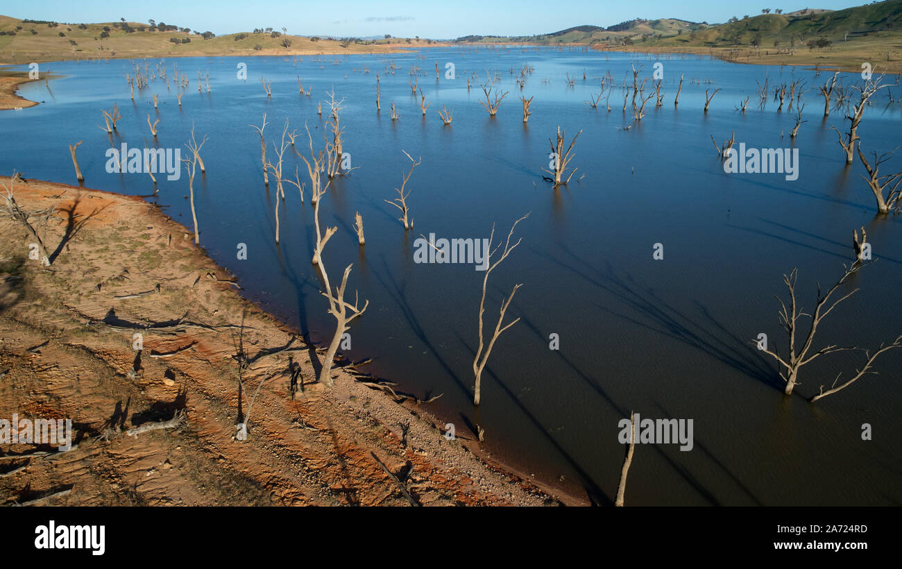 Geringe Wasser leve offenbart Bäume durch das Ausfüllen von Hume Reservoir in den 1930er Jahren ertrunken Stockfoto