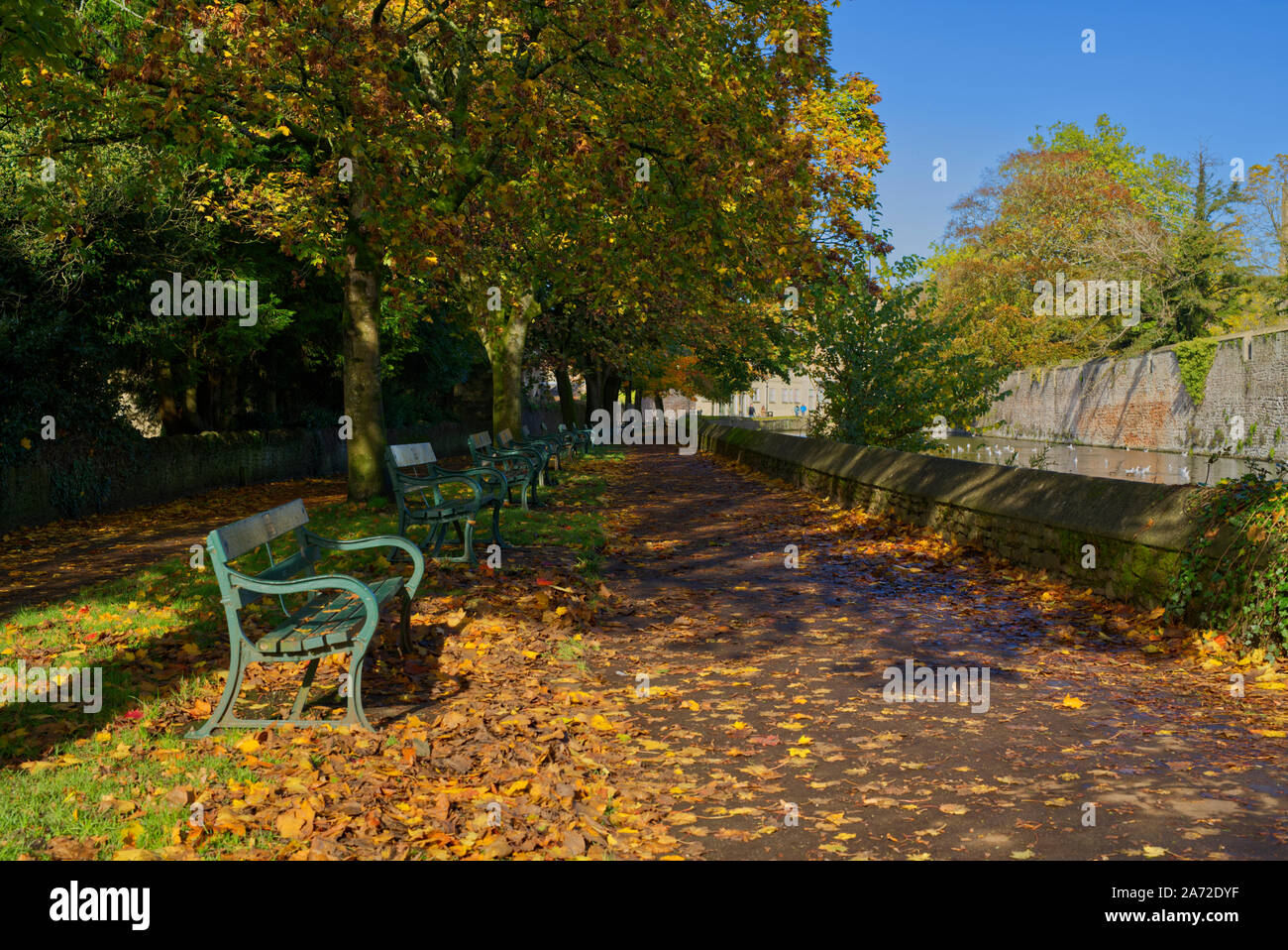 Herbst Szene im Palace Wassergraben des Bischofs. Stockfoto