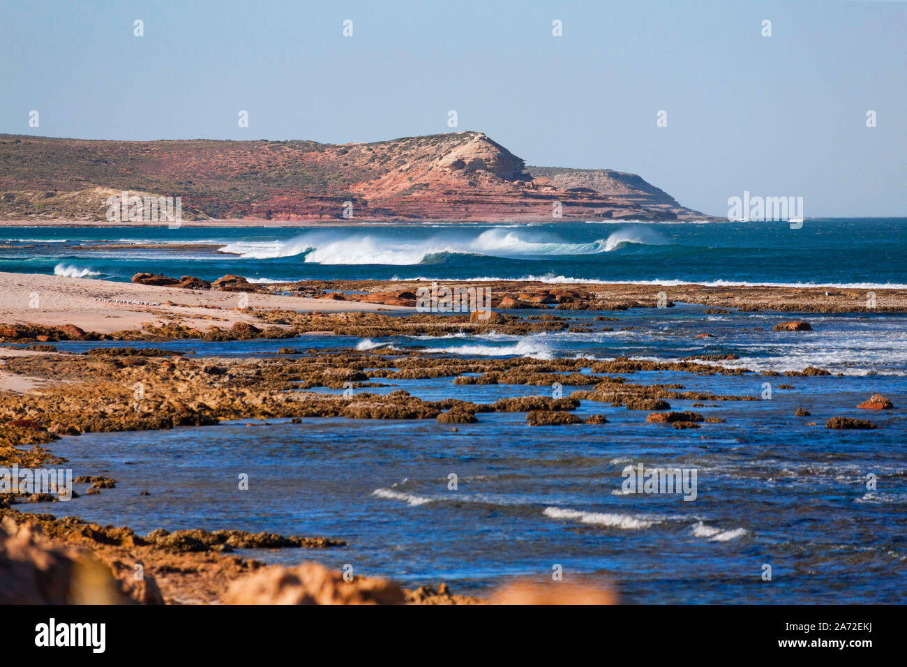 Red Bluff Steilküsten, Kalbarri Western Australia Stockfoto