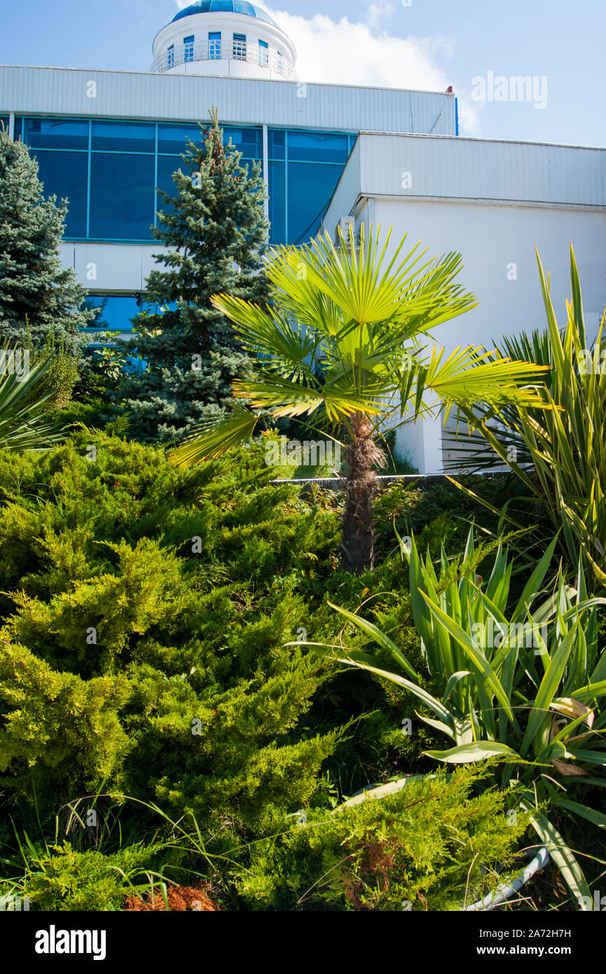 Aqualoo Waterpark - Blick auf den Main Office Gebäude, neben der üppigen Vegetation wächst. Vertikale Foto. Stockfoto