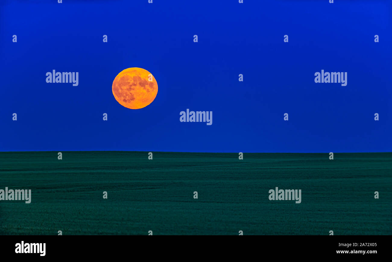 Das Steigen des fast genau Vollmond am 16. Juli 2019, zum 50. Jahrestag des Starts von Apollo 11. Die Szene ist mit Blick auf ein grünes Feld Stockfoto