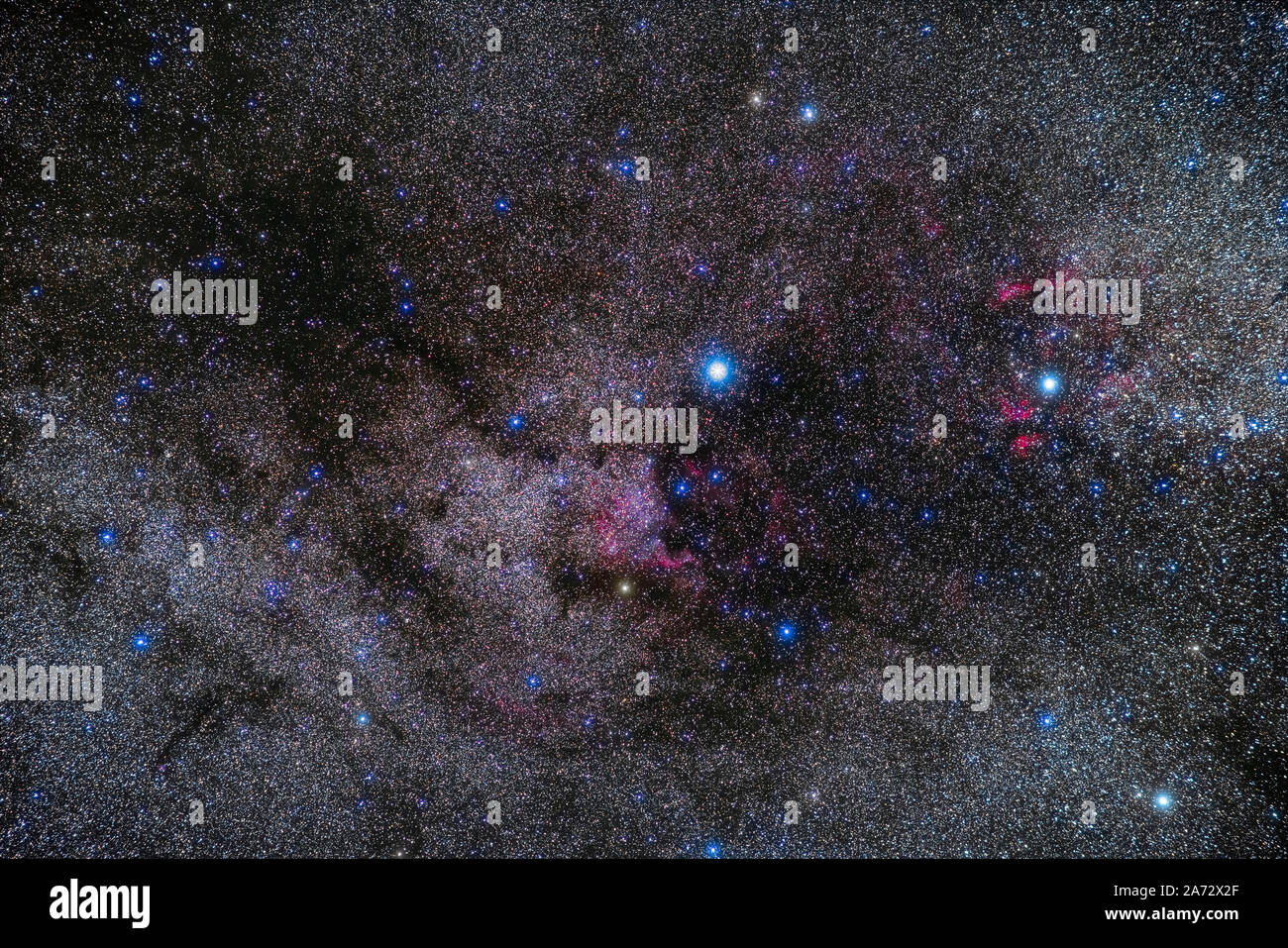 Die Region im Sommer Milchstraße im nördlichen Cygnus enthält eine reiche Sammlung von hellen Nebeln: Nordamerika Nebel in der Mitte und die Gamma Stockfoto
